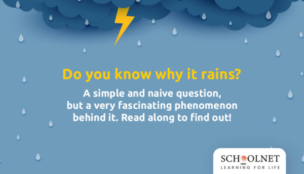 Tip, tip, tip…..What causes Rain?